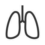 Lungs SVG Icon